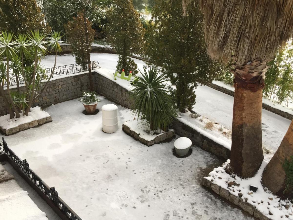 Villa Calcerame Montelepre Eksteriør billede